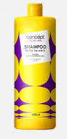 Шампунь Fusion Concept Detox Balance восстановление волос, 1л