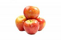 Яблоки Роял Гала цена за кг