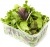 Смесь салатная Прованс Veg salad пекинская капуста+фриссе+морковь+мангольд 200г