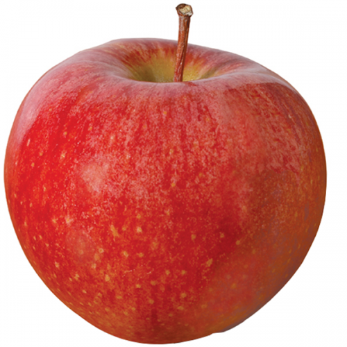 Яблоки Камео, цена за кг