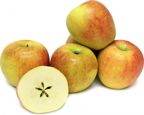 Яблоки Бребург цена за кг