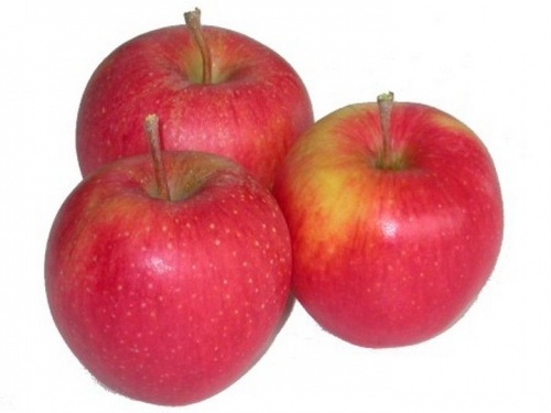 Яблоки Пинова пакет цена за кг