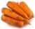 Морковь сетка 2,5кг