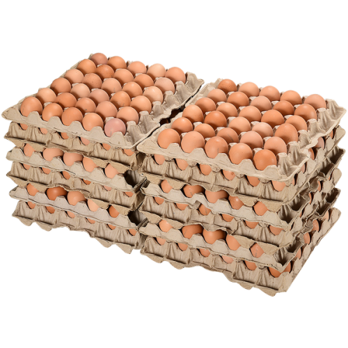 Яйцо куриное С1 240шт