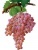 Виноград Тайфи розовый, цена за кг